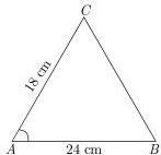 img-6.jpeg